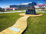 林芝天华矿业集团