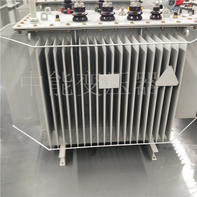 林芝S20-800KVA变压器