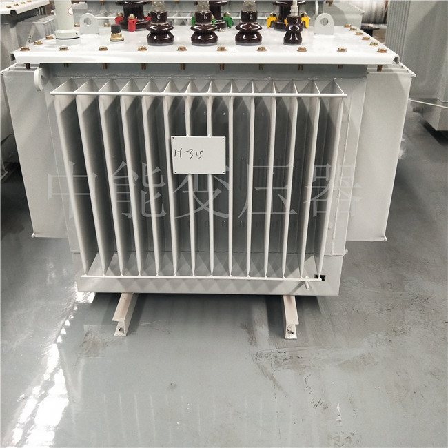 林芝S20-1250KVA/10KV变压器