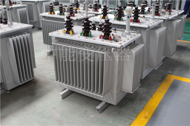 林芝S22-250KVA/10KV变压器
